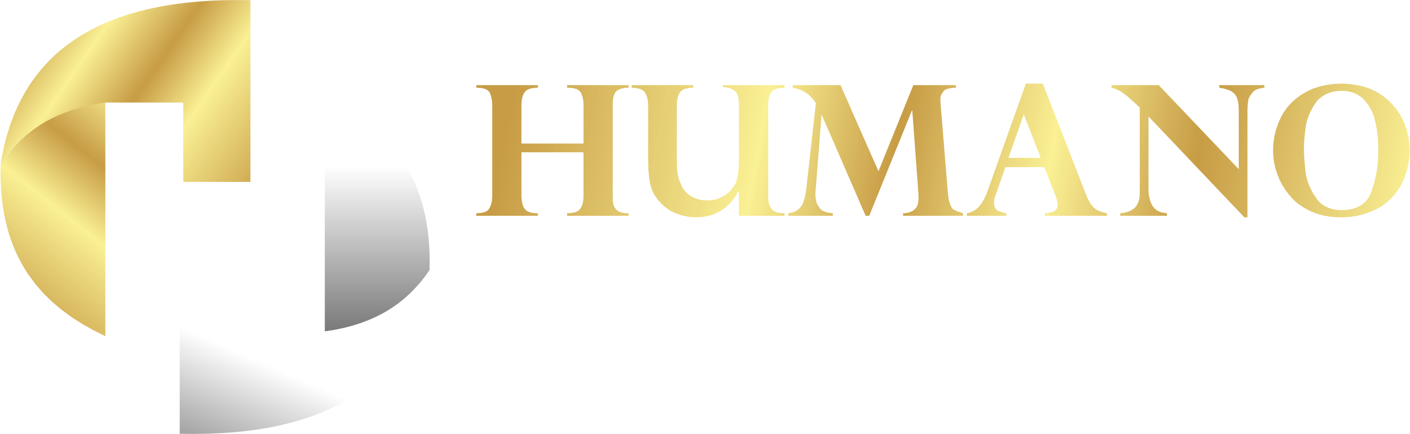 Humano Saúde IA